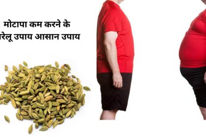 मोटापा कम करने के घरेलू उपाय।पूरी जानकारी (Home Remedies to Reduce Obesity)