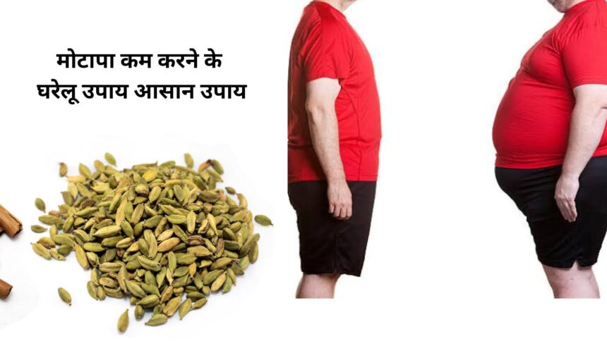 मोटापा कम करने के घरेलू उपाय।पूरी जानकारी (Home Remedies to Reduce Obesity)