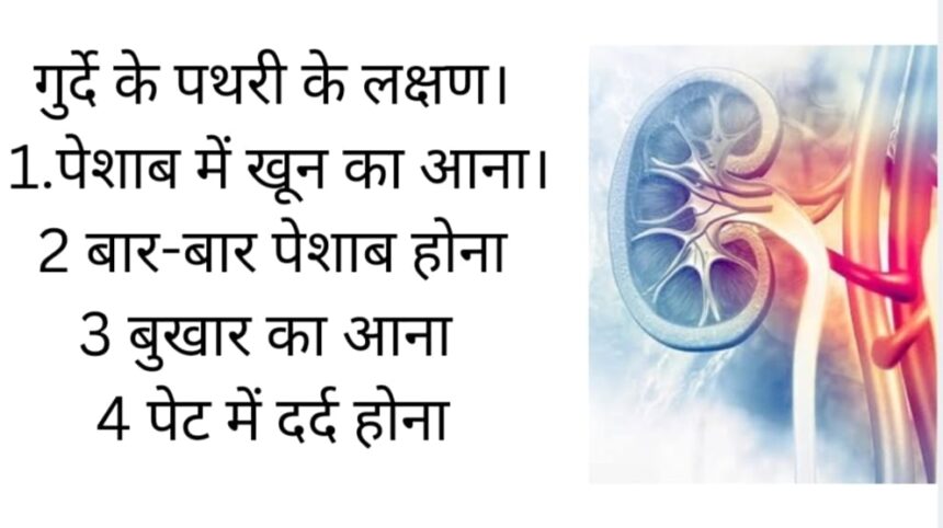 एक किडनी वाले जरूर देखे।क्या एक किडनी से जी सकता है। मनुष्य ?