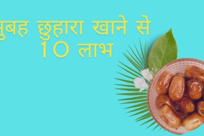 रात में भिगोकर छुहारा खाने से मिलते हे लाभ Eating dates soaked overnight is beneficial